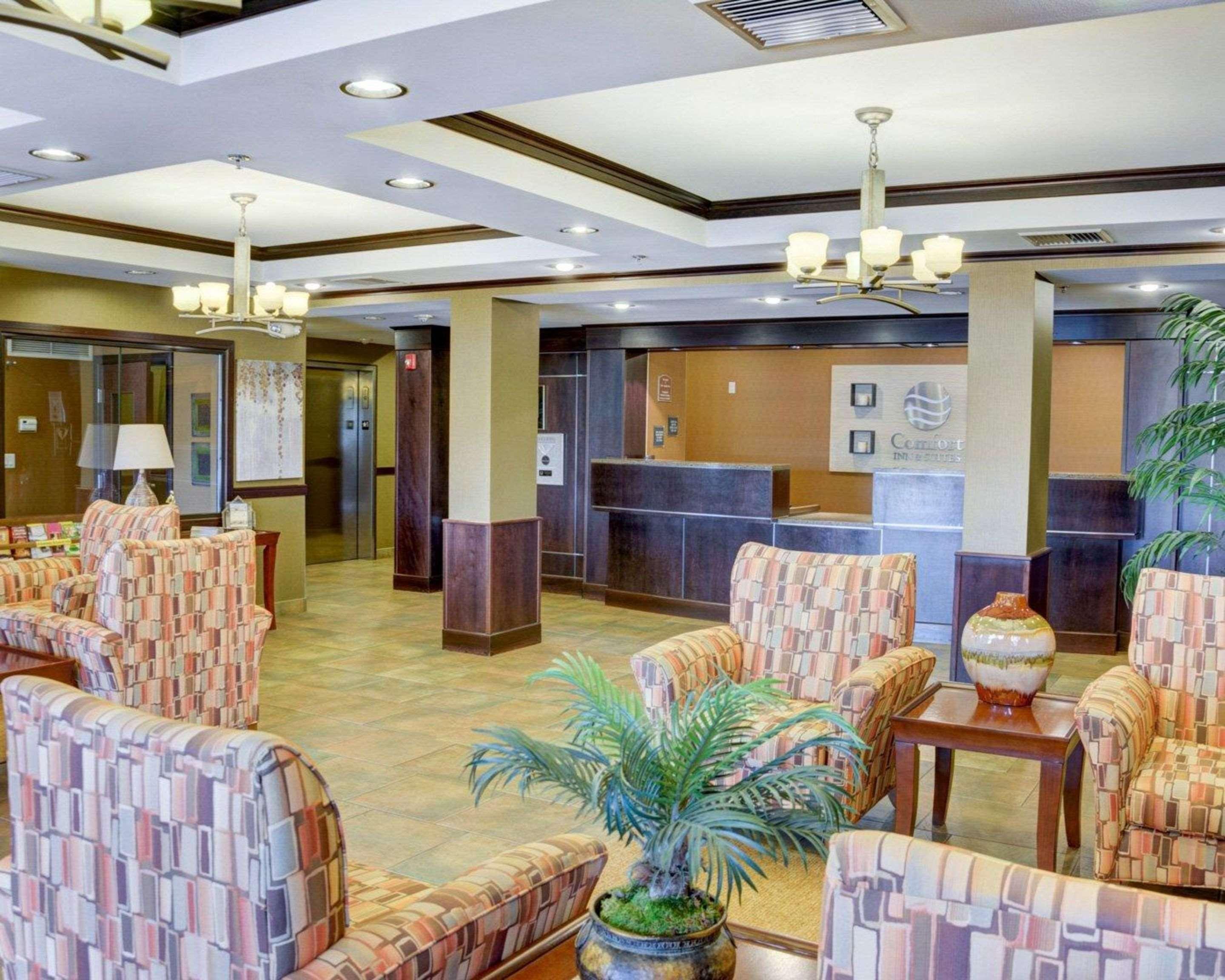 Comfort Inn & Suites Russellville I-40 Zewnętrze zdjęcie