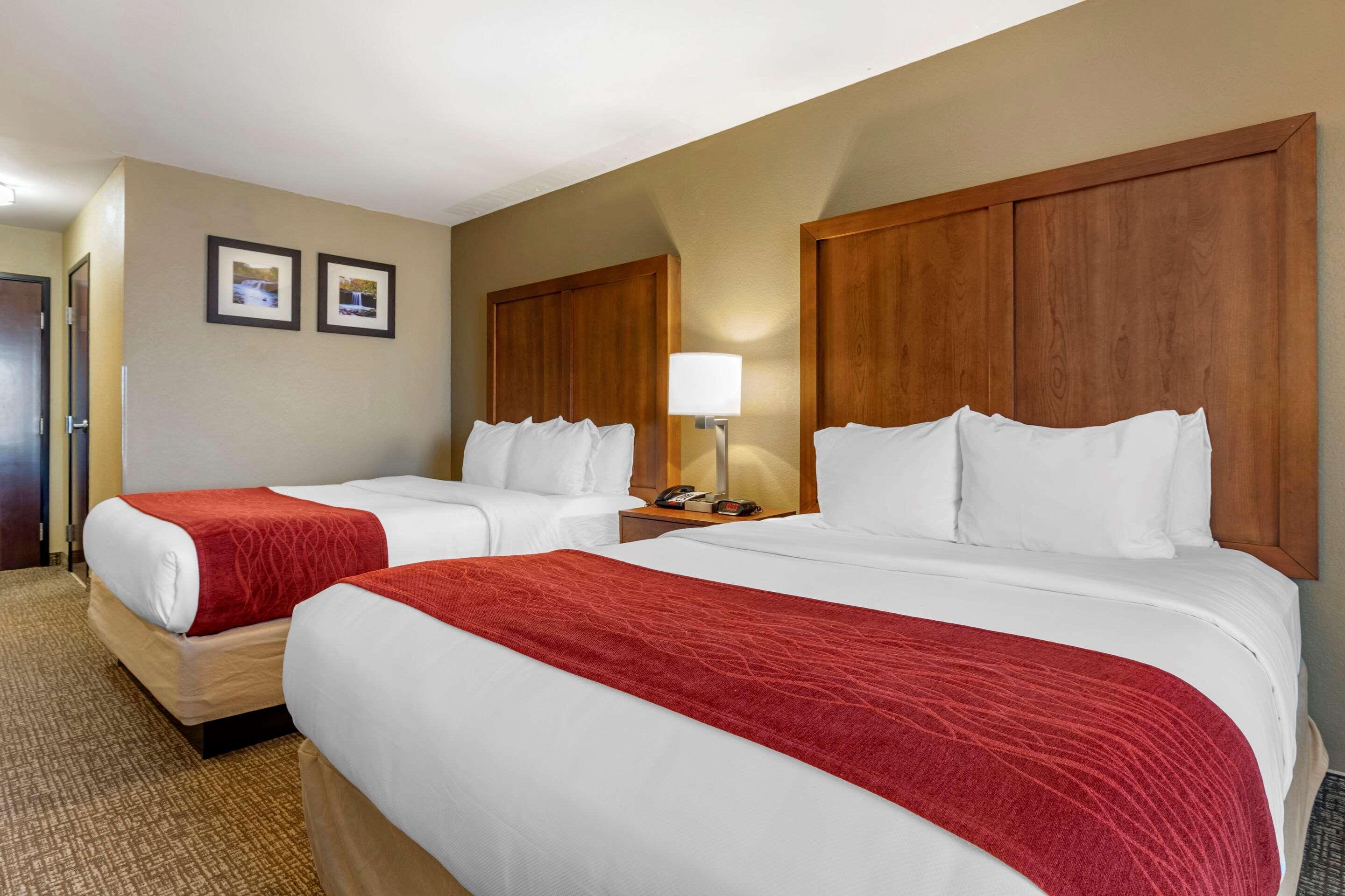 Comfort Inn & Suites Russellville I-40 Zewnętrze zdjęcie