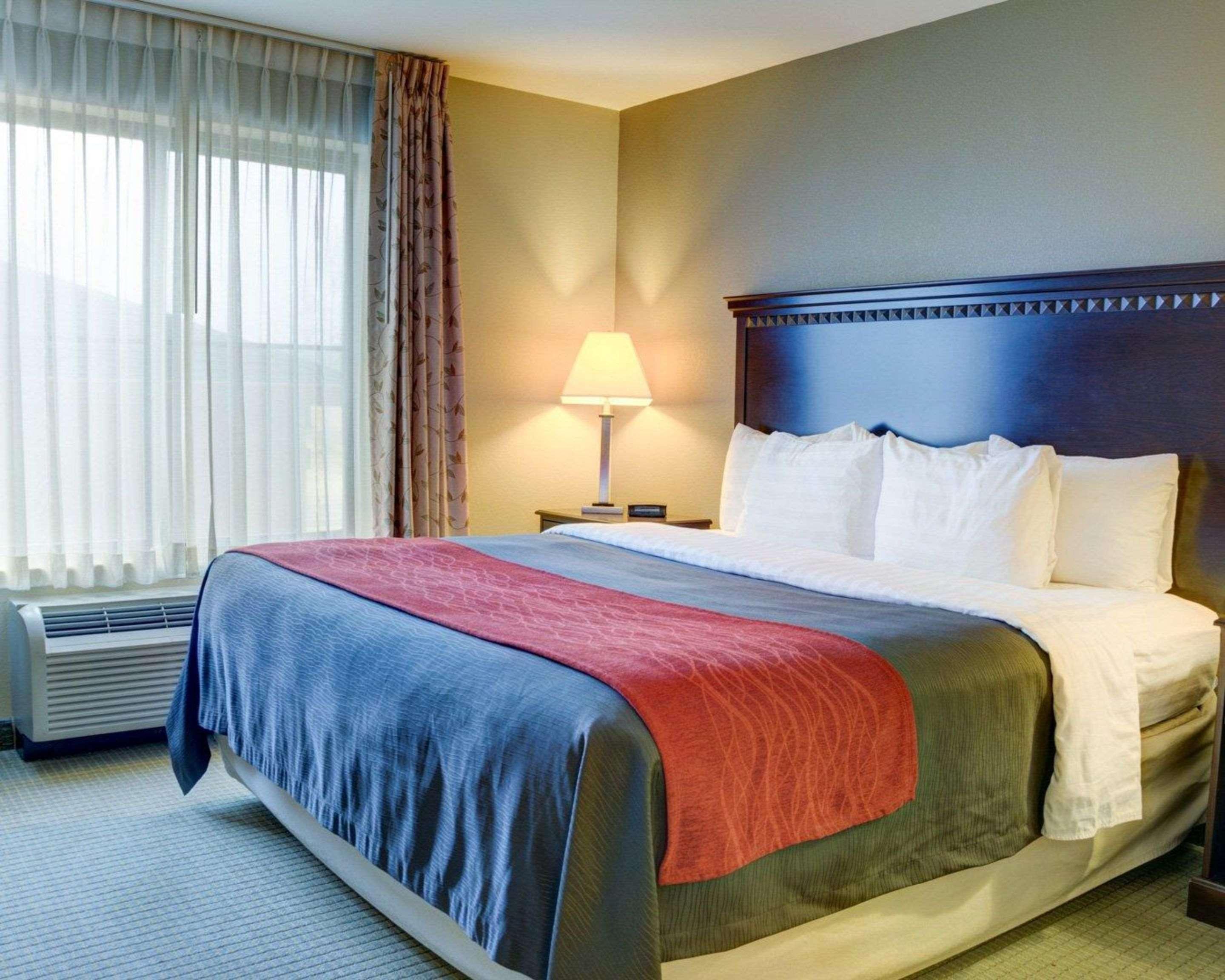 Comfort Inn & Suites Russellville I-40 Zewnętrze zdjęcie