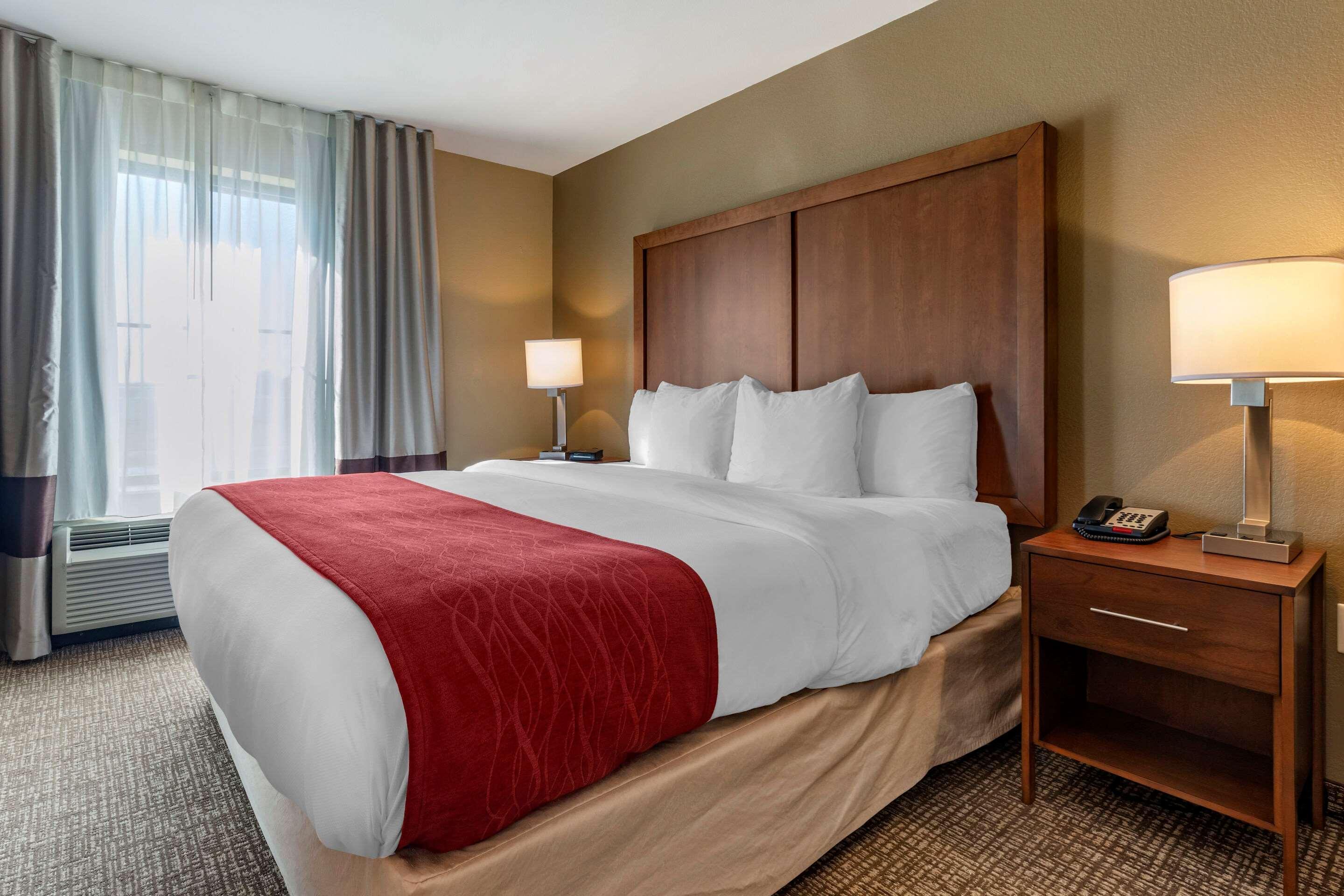 Comfort Inn & Suites Russellville I-40 Zewnętrze zdjęcie